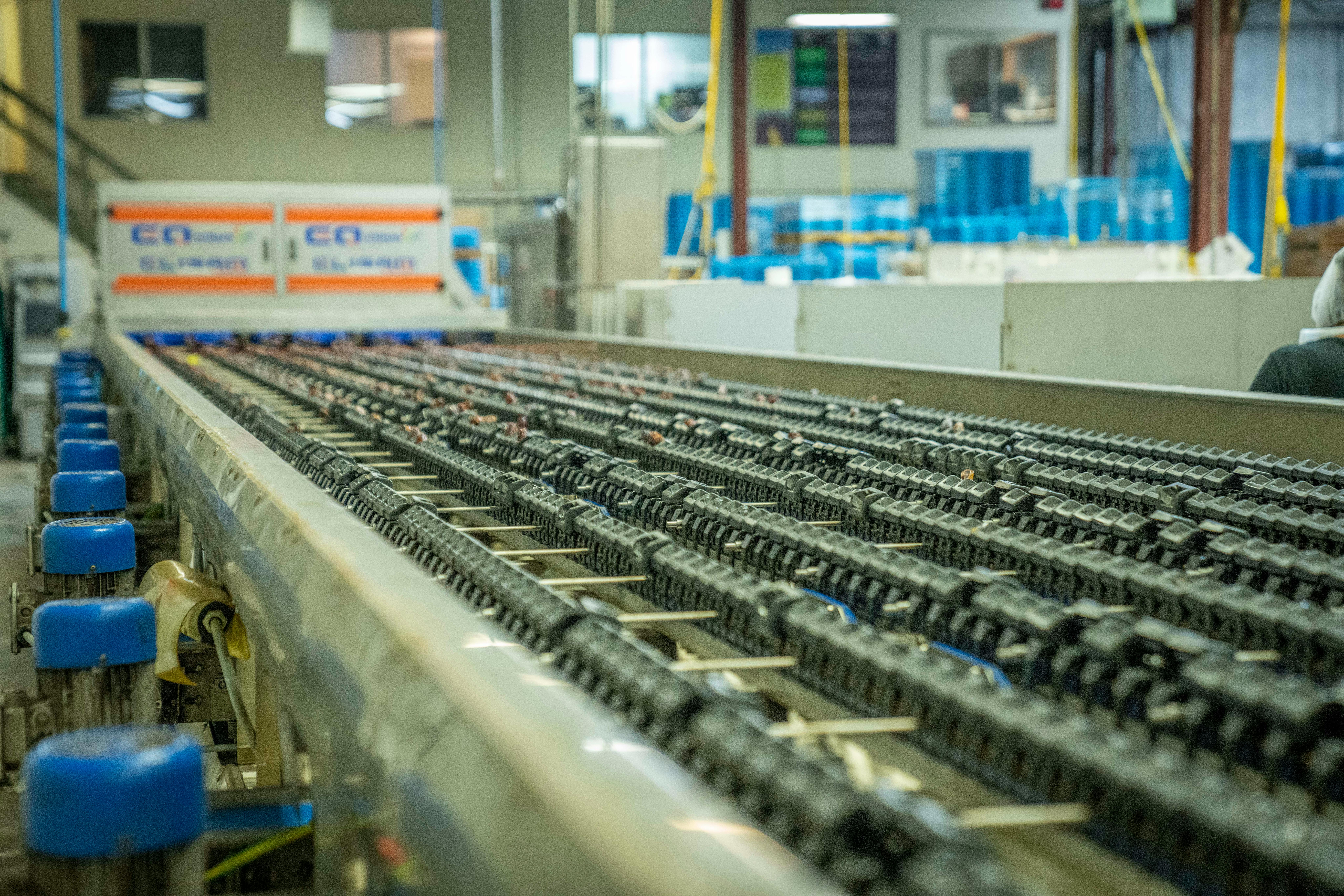The Importance of Utilization in Modern Business